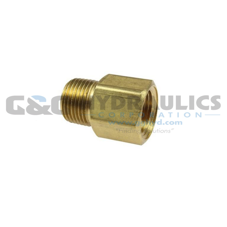 C0202-DL Coilhose Hex Adapter, 1/8" FPT x 1/8" MPT, Display UPC #029292194686