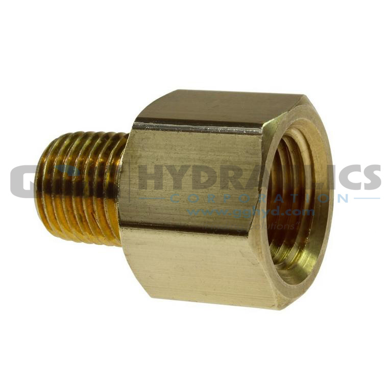 C0402-DL Coilhose Hex Adapter, 1/4" FPT x 1/8" MPT, Display UPC #029292194754