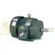 ECP2334T-4 Baldor Three Phase, Totally Enclosed, Foot Mounted 20HP, 1765RPM, 256T Frame UPC #781568136478