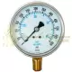 RW132A3N321KG ENFM Series 7111 Dry Pressure Gauge 1/4