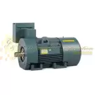 ECP50506LR-4 Baldor Three Phase, Totally Enclosed, Foot Mounted 500HP, 1193RPM, 5012 Frame UPC #781568825570
