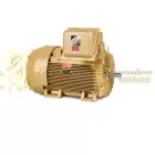 EM44256T-4 Baldor Three Phase, Totally Enclosed, Foot Mounted 250HP, 1189RPM, 449T Frame UPC #781568815946