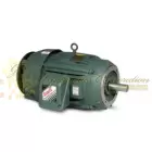 VECP2334T-4 Baldor Three Phase, Totally Enclosed, C-Face, Foot Mounted 20HP, 1765RPM, 256TC Frame UPC #781568499481